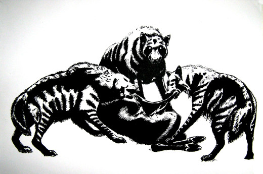 1076806 (a): :2379x1575